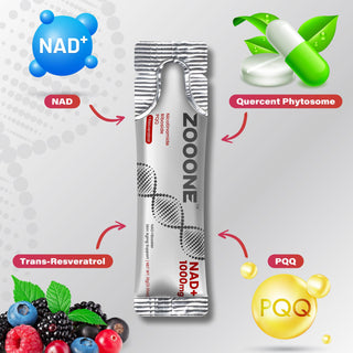 ZOOONE NR1000-NAD+ Berry Flavor Drink Mix for SkinAging Support, Energy, and Focus - 30 Pack